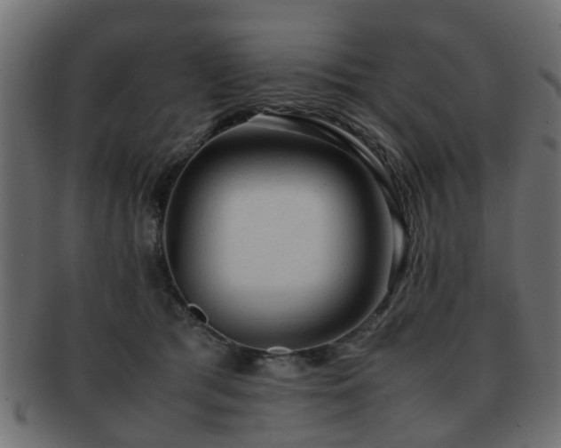 X0000093100417200709261234