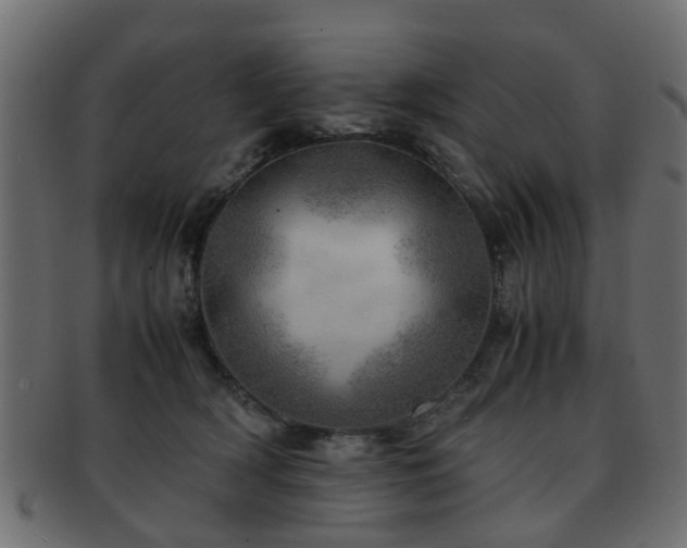 X0000093100418200709261234