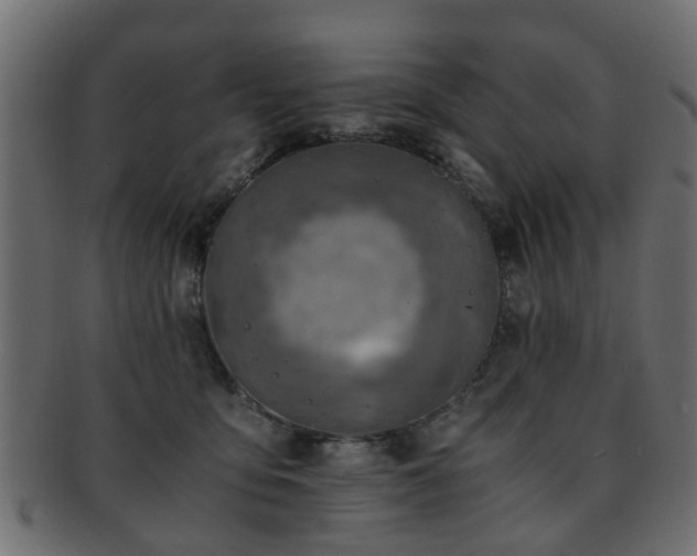 X0000093100419200709261234