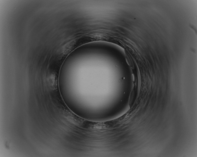 X0000093100420200709261234