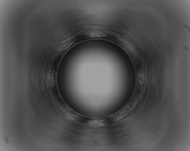 X0000093100422200709261234