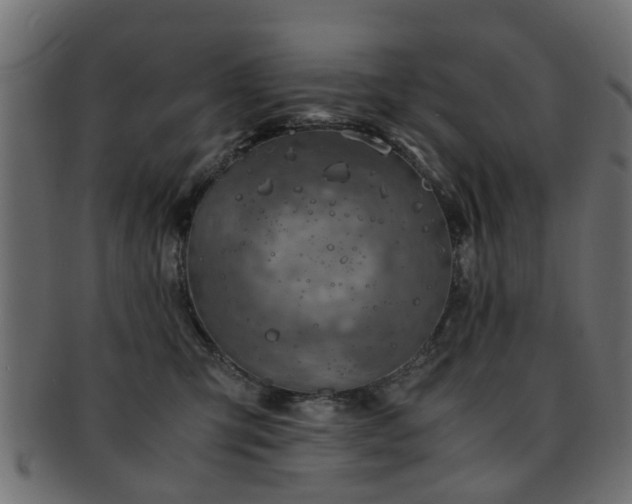 X0000093100423200709261234