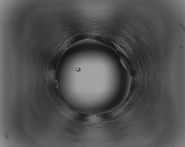 X0000093100425200709261234
