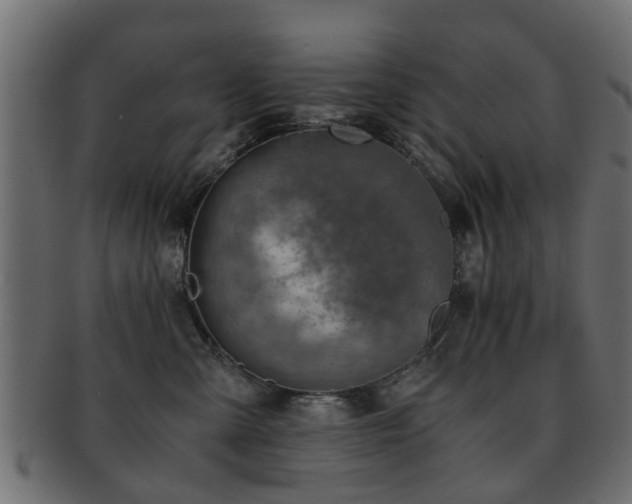 X0000093100427200709261234