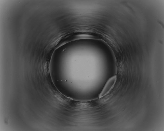 X0000093100428200709261234