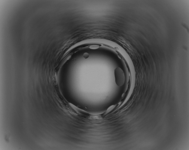 X0000093100429200709261234