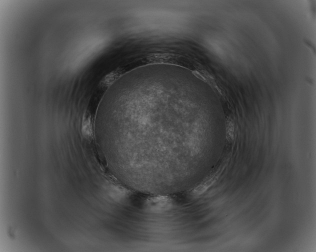 X0000093100431200709261234