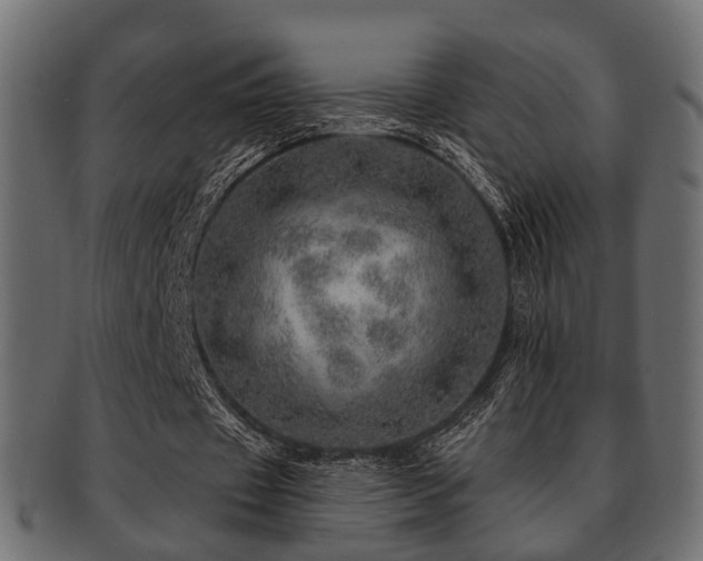 X0000093100433200709261233