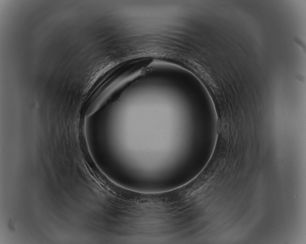 X0000093100434200709261233