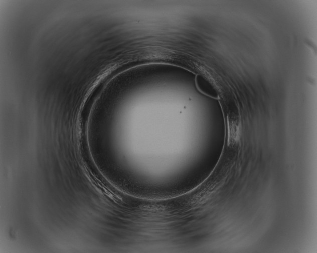 X0000093100435200709261233