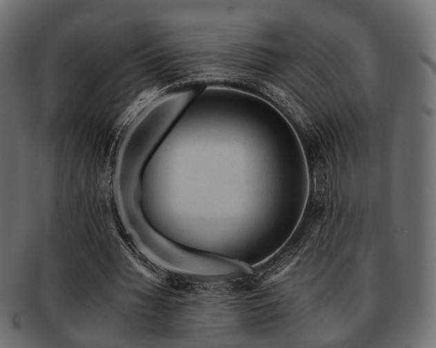 X0000093100436200709261233