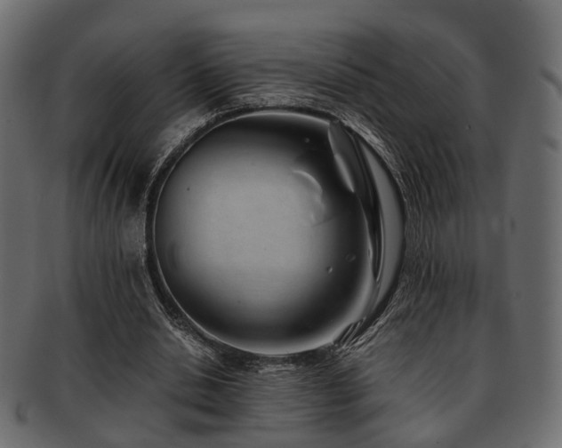 X0000093100438200709261233