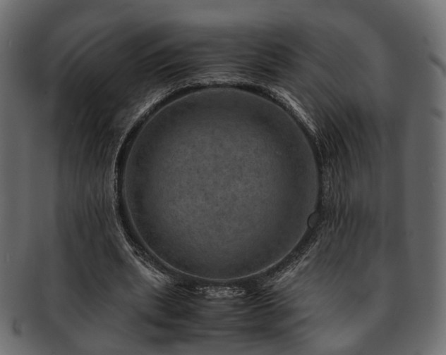 X0000093100439200709261233
