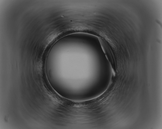 X0000093100440200709261233