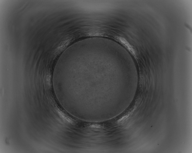 X0000093100441200709261233