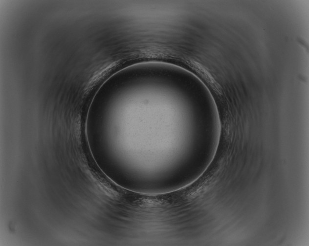 X0000093100442200709261233