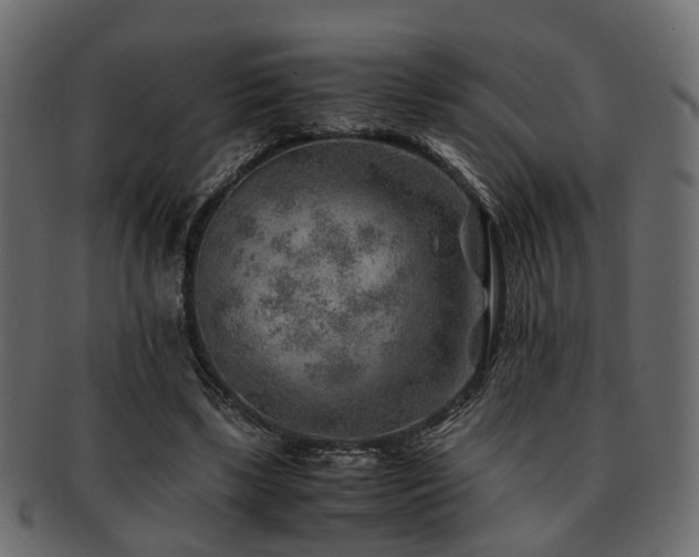 X0000093100443200709261234