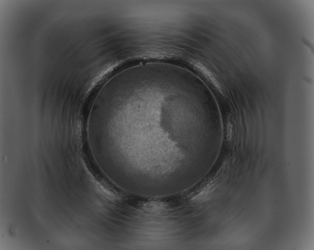 X0000093100444200709261234
