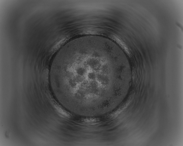 X0000093100445200709261234