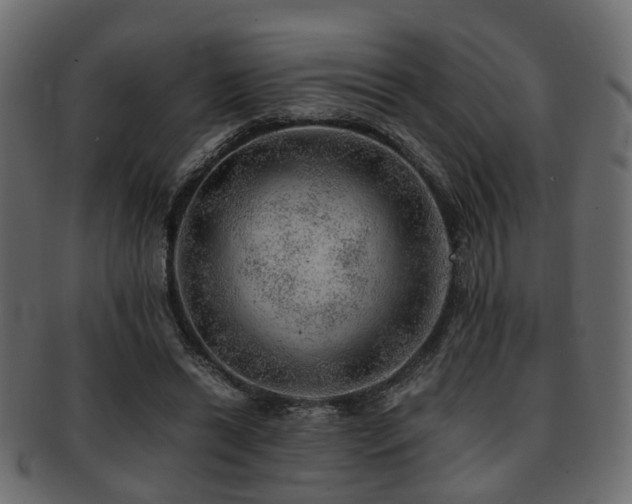 X0000093100446200709261234