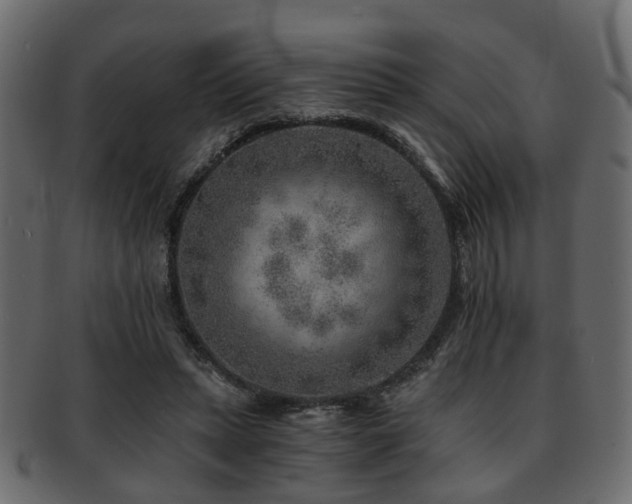 X0000093100447200709261234