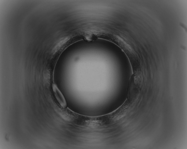 X0000093100448200709261234
