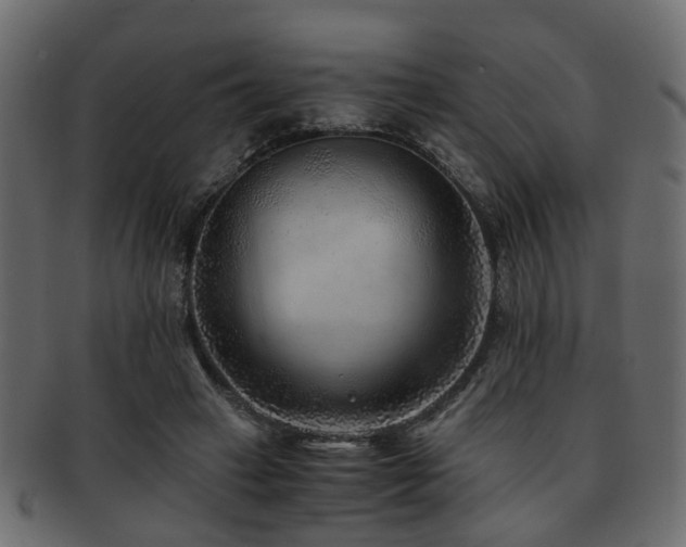 X0000093100449200709261234