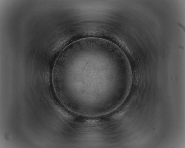 X0000093100450200709261234