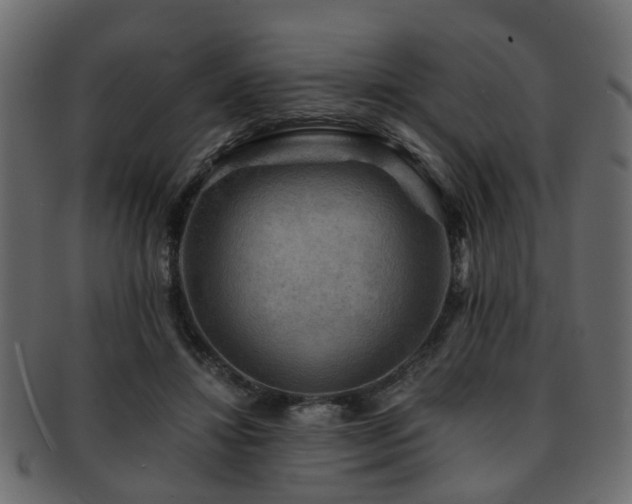 X0000093100452200709261234