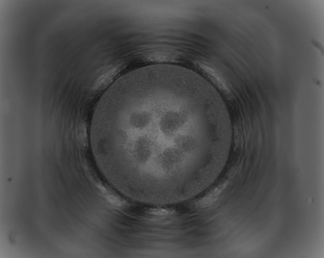 X0000093100453200709261234