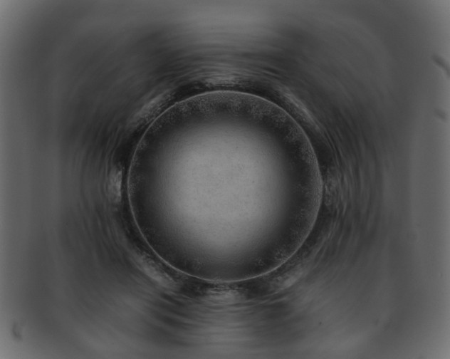 X0000093100454200709261234
