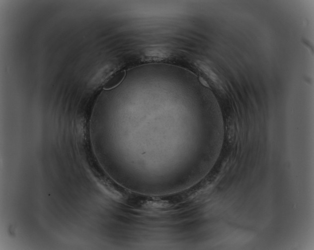 X0000093100455200709261234