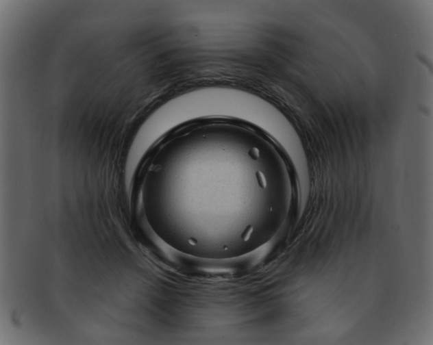 X0000093100456200709261234