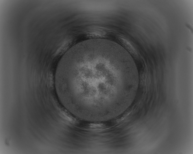 X0000093100457200709261234
