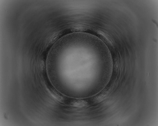 X0000093100459200709261234