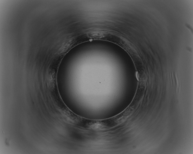 X0000093100460200709261234