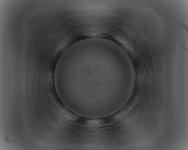X0000093100461200709261234