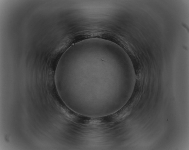 X0000093100462200709261234