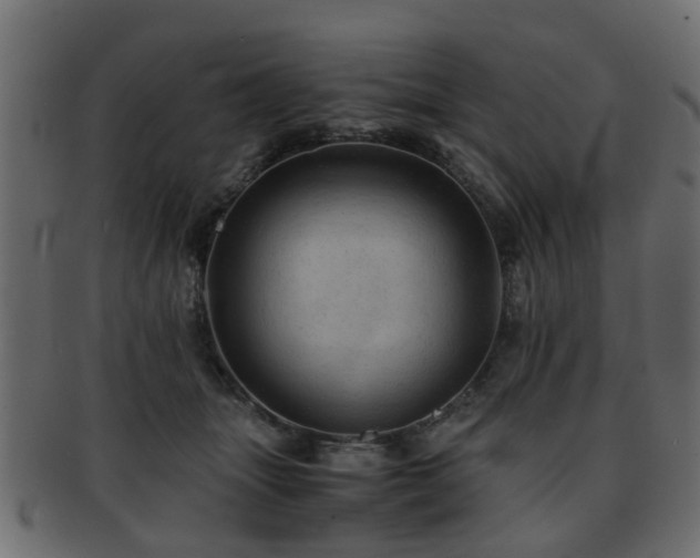 X0000093100463200709261234