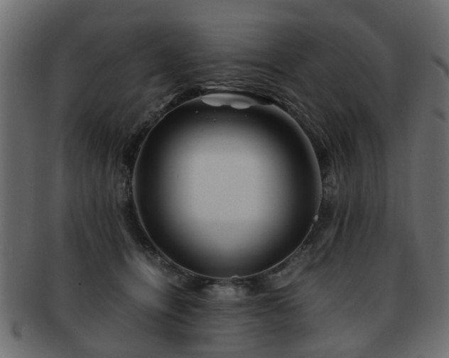 X0000093100464200709261234