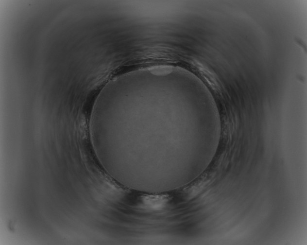 X0000093100465200709261234