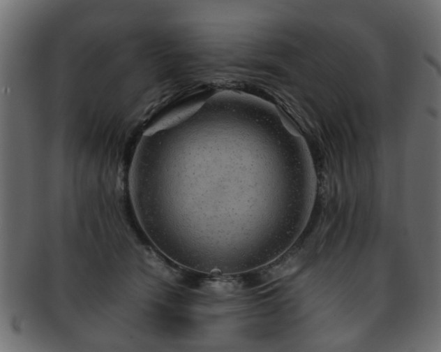 X0000093100466200709261234