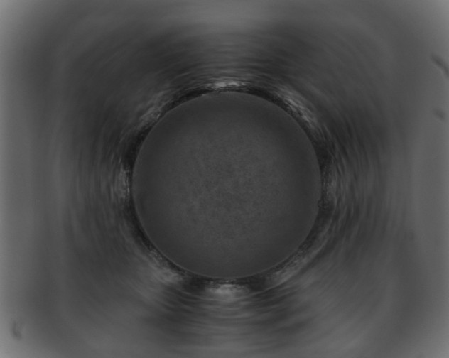 X0000093100467200709261234