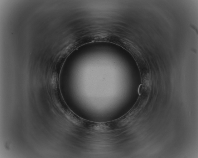 X0000093100468200709261234