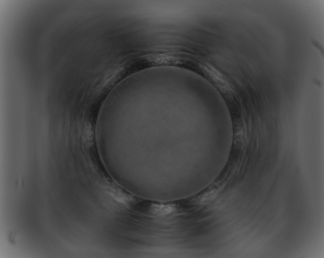 X0000093100469200709261234