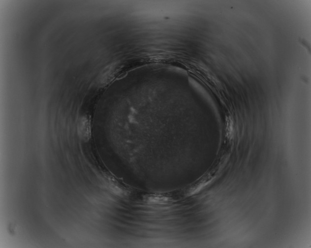 X0000093100471200709261234