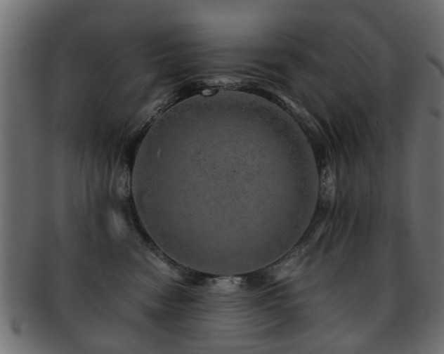X0000093100474200709261234