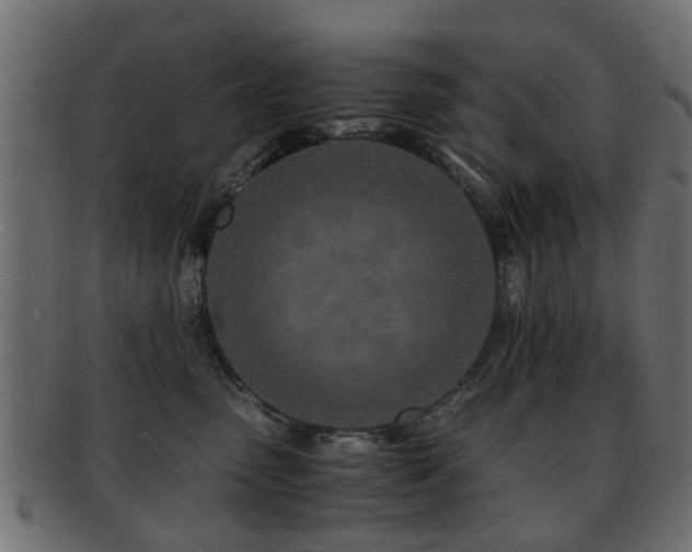 X0000093100475200709261234