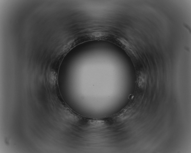X0000093100476200709261234