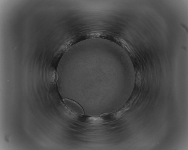 X0000093100477200709261234